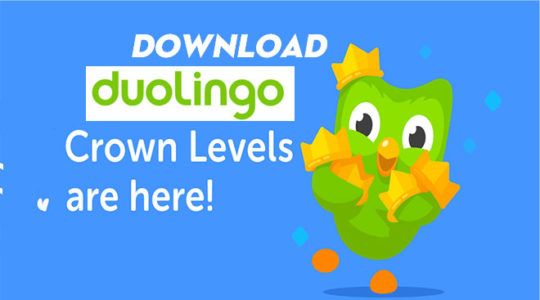 Tải Duolingo Phiên Bản Mới Nhất Cho Điện Thoại Android, iOS