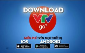 Tải VTV Go Phiên Bản Mới Nhất Cho Điện Thoại Android, iOS