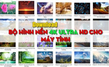 Download Wallpaper – Tải Bộ Hình Nền 4K Ultra HD Cho Máy Tính