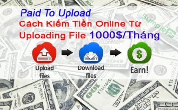 Paid To Upload (PTU) Là Gì? Kiếm Tiền Từ Upload File 1000$/Tháng