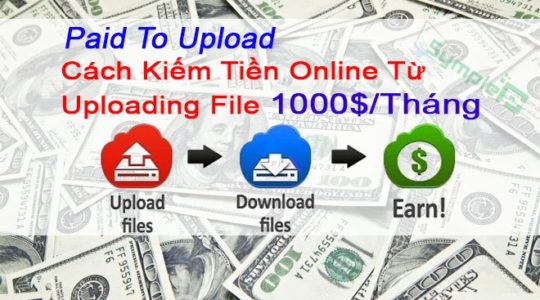 Paid To Upload (PTU) Là Gì? Kiếm Tiền Từ Upload File 1000$/Tháng