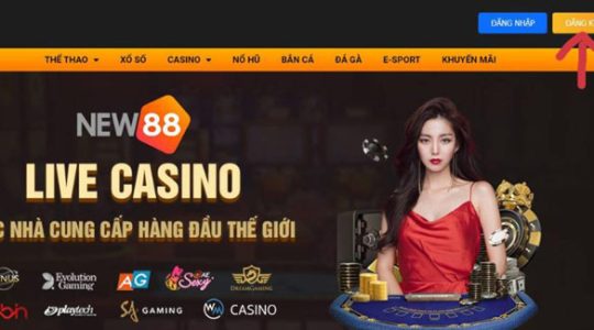 New88 – Nhà Cái Cá Cược Uy Tín Hàng Đầu Việt Nam 1