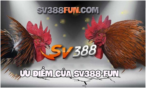 SV388 Fun nhà cái cá cược đá gà trực tuyến tốt nhất 3